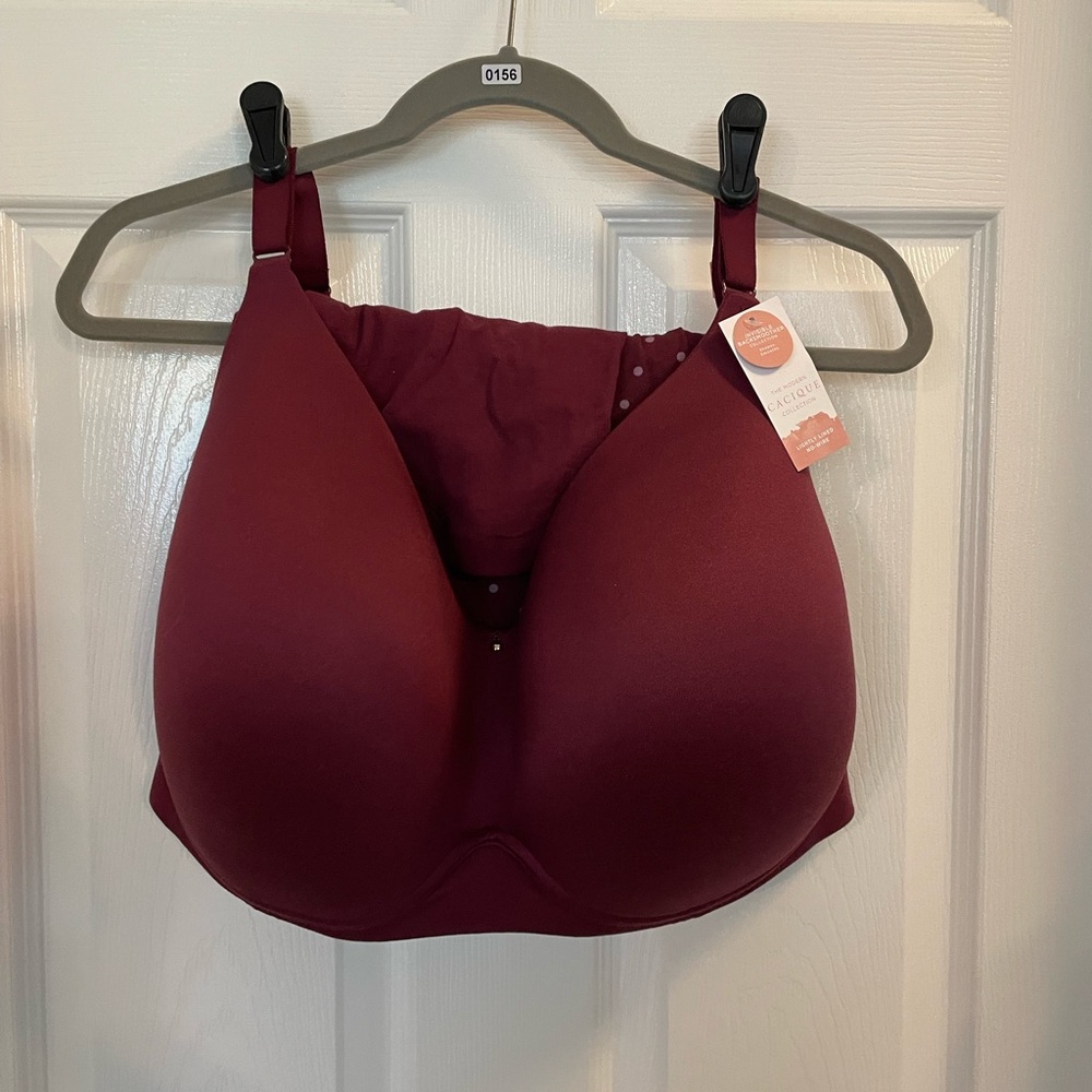 Burgundy Lightly Lined No-Wire Bra
